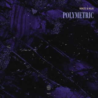 Polymetric EP