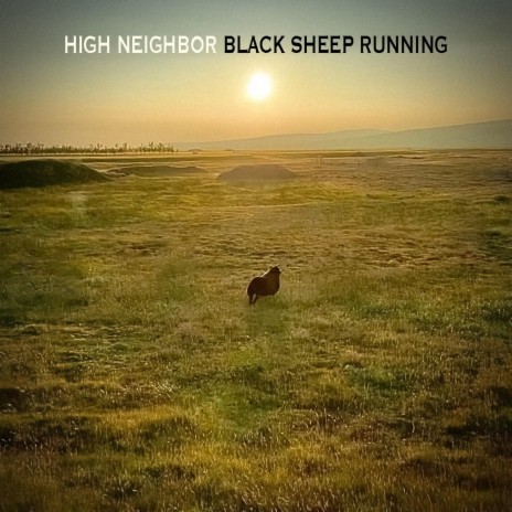 Black Sheep Running