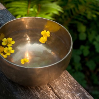 Tibetan Healing Bowls: Draco