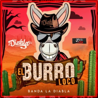 El burro loco