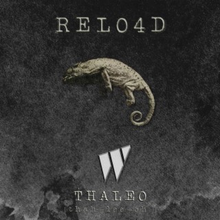 Thaleo (Original Mix)