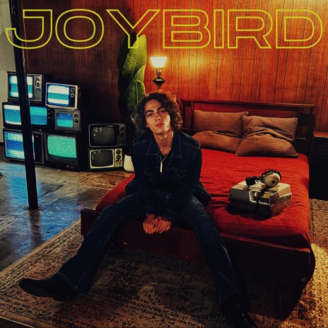 Joybird | Boomplay Music
