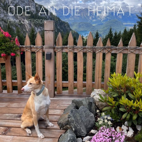 ODE AN DIE HEIMAT | Boomplay Music