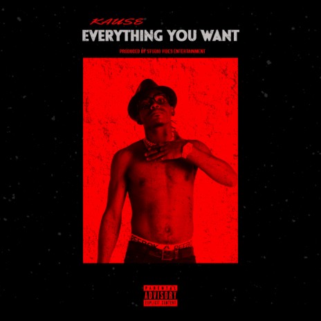 Everything You Want | Boomplay Music