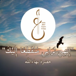 إِلهِي تَرَانِي lyrics | Boomplay Music