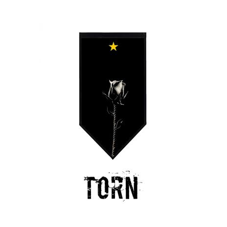 Torn | Boomplay Music