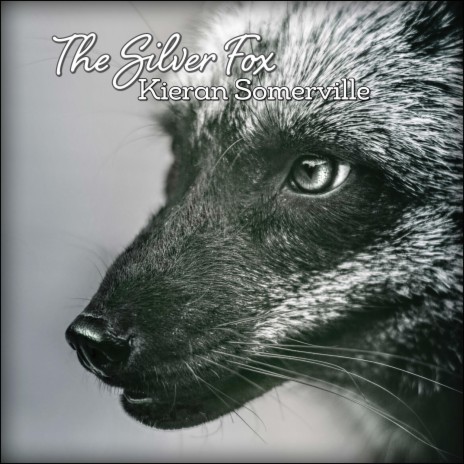 The Silver Fox | Boomplay Music