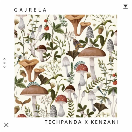 Gajrela ft. Kenzani | Boomplay Music