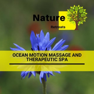 Ocean Motion Massage and Therapeutic Spa