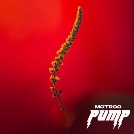 PUMP (Extended Mix) | Boomplay Music