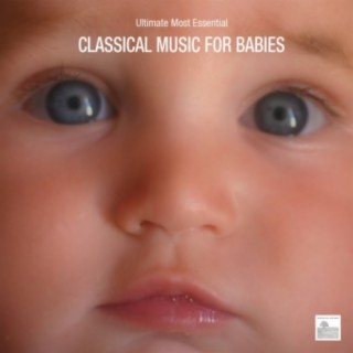 Bright Baby Classical Music Ensemble