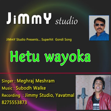 Hetu Wayoka (Gondi Song) ft. Subodh Walke & Meghraj | Boomplay Music