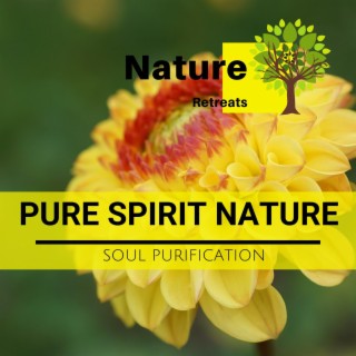 Pure Spirit Nature - Soul Purification