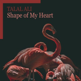 Talal Ali