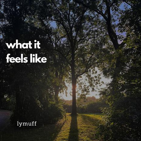 what it feels like | Boomplay Music