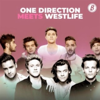 One direction discography torrent