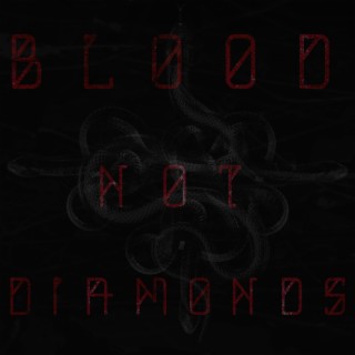 Blood Not Diamonds lyrics | Boomplay Music