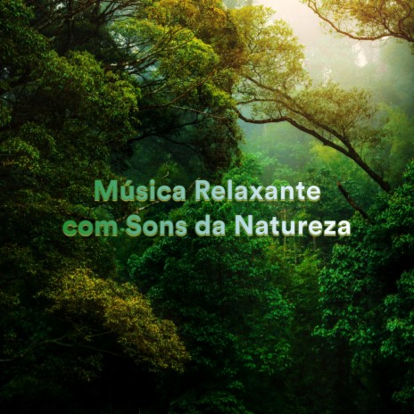 Cosmic Delights ft. Música Relaxante Com Sons da Natureza & Sons Relaxantes da Natureza