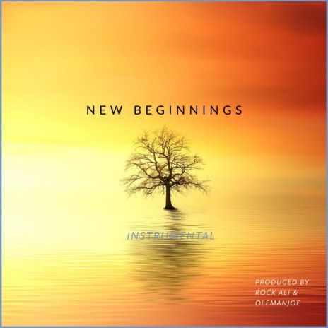 New Beginnings ft. OLEMANJOE | Boomplay Music