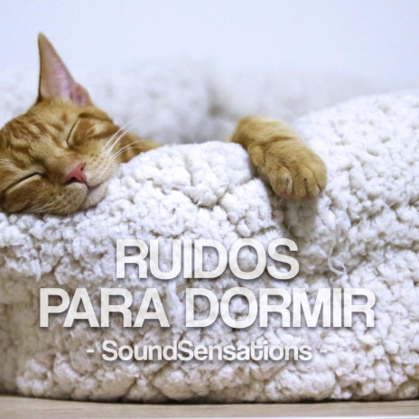 Ruidos Para Dormir | Boomplay Music