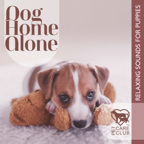 Dog Home Alone | Boomplay Music