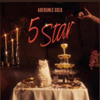 5 star Adfega my5starstory