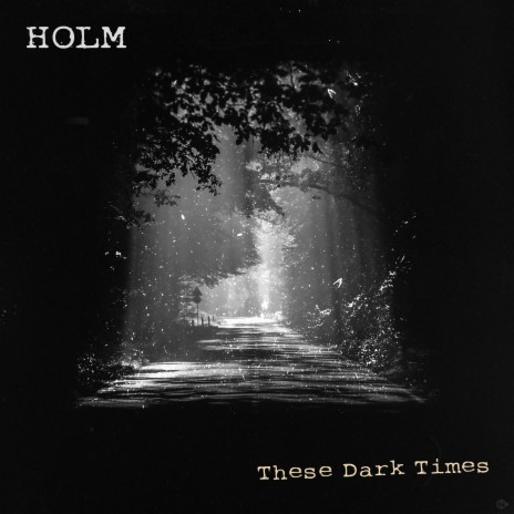 These Dark Times ft. Vetle Hæg Nymoen | Boomplay Music