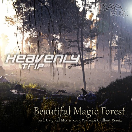 Beautiful Magic Forest