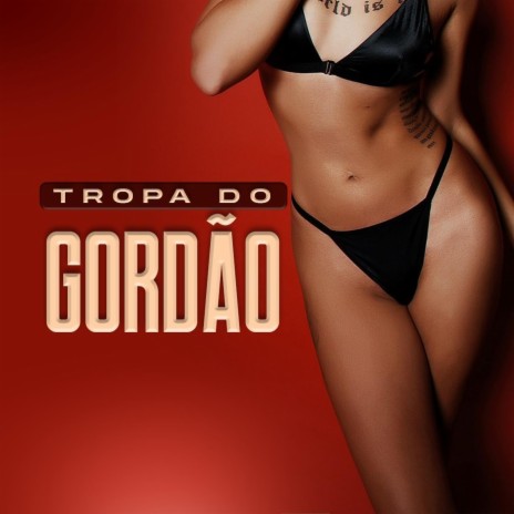 Tropa do Gordâo ft. Vlad & MC leon | Boomplay Music