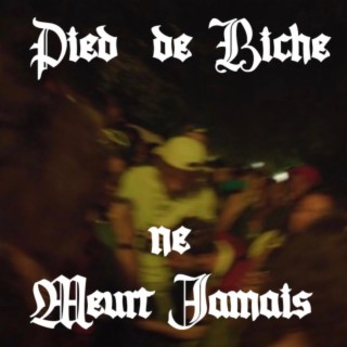 Pied de Biche ne meurt jamais lyrics | Boomplay Music