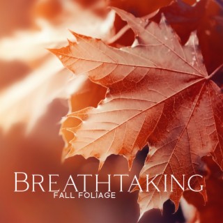Breathtaking Fall Foliage: Relaxing Jazz for Oncoming Autmun, Positve Mood, Energy for Shorter Days