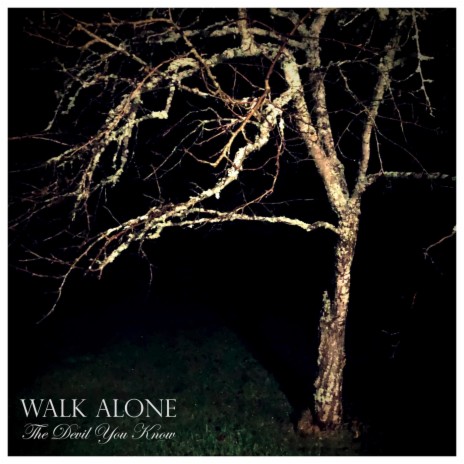 Walk Alone | Boomplay Music