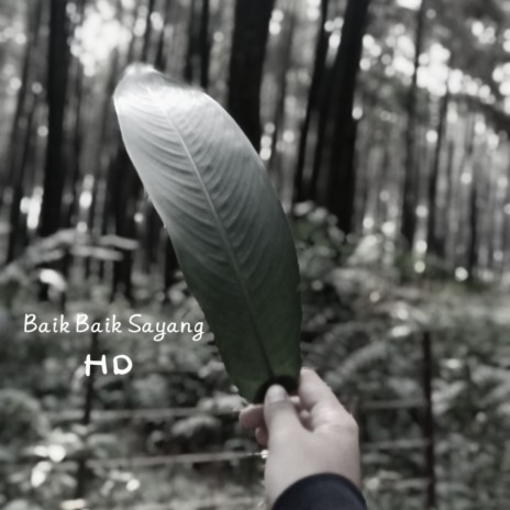 Baik Baik Sayang | Boomplay Music