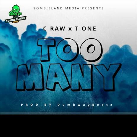 Too Many ft. T One | Boomplay Music