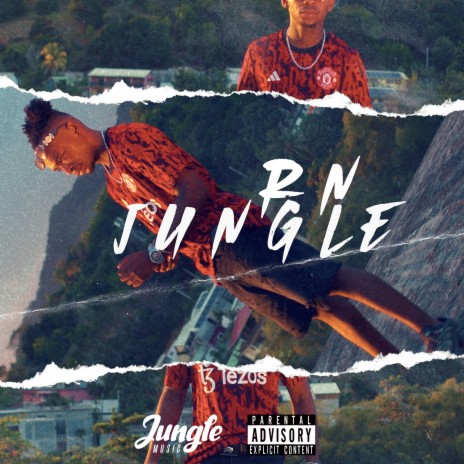 Jungle | Boomplay Music