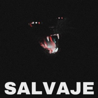 Salvaje