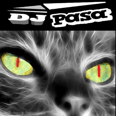 ✮✮ A CAT POWER OF BASS ✮ ✮ | Boomplay Music