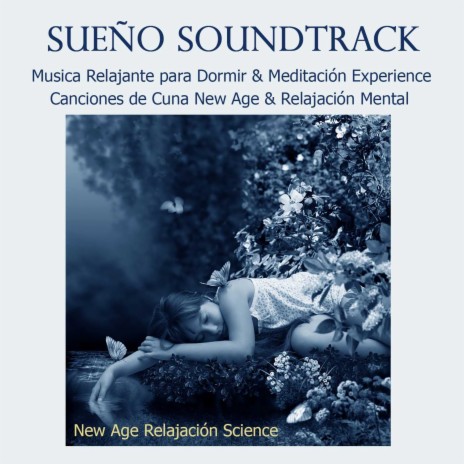 Peace of Mind - Música Relajante | Boomplay Music