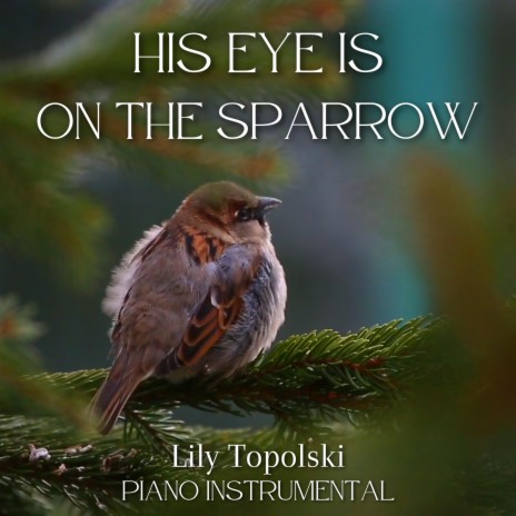 His Eye Is on the Sparrow