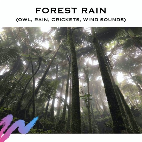 Nature Sounds Rain (Loopable) ft. Forest Rain Sounds & Rain Sounds | Boomplay Music