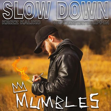 Slow Down ft. Krizz Kaliko & VenomStayDrippin | Boomplay Music