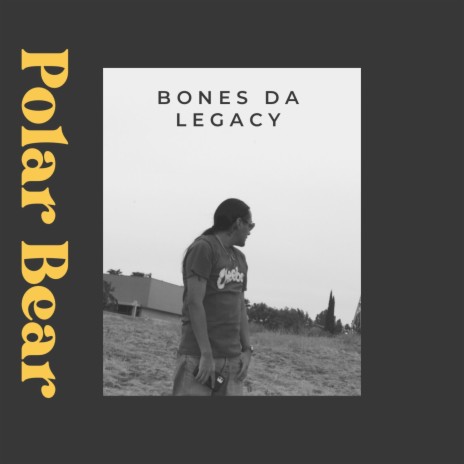 Polar Bear | Boomplay Music