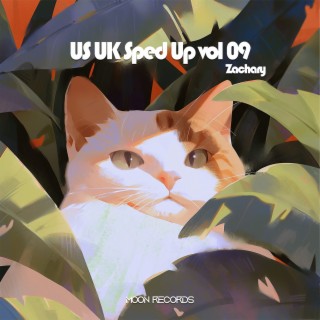 US UK Sped Up vol 09