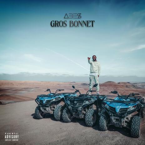 GROS BONNET | Boomplay Music