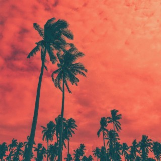 Copyright Free Tropical House