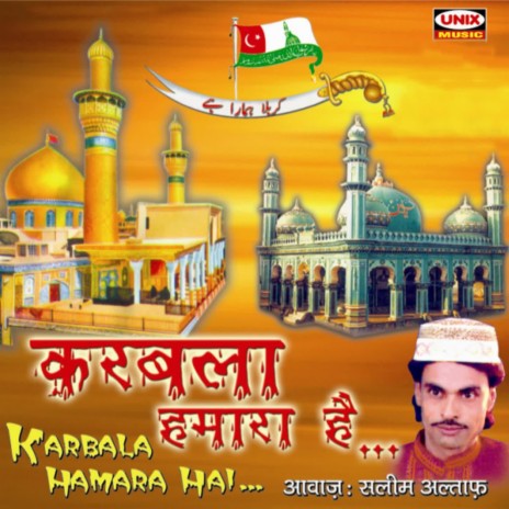 Hum Ali Maula Wale Hain | Boomplay Music