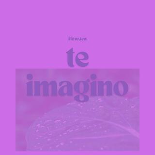 Te Imagino