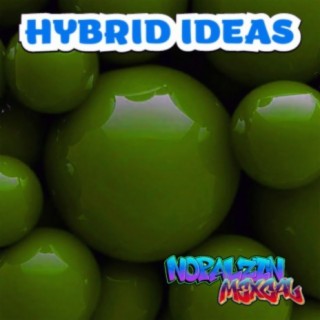 HYBRID IDEAS