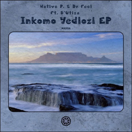 Inkomo Yedlozi (Echo Deep Remix) ft. Dr. Feel & B'Utiza