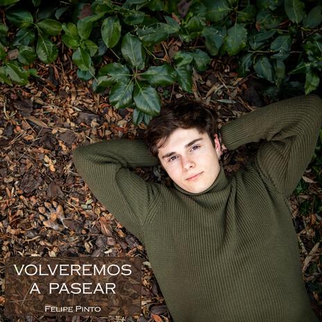 Volveremos a Pasear | Boomplay Music